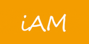 International Art Management